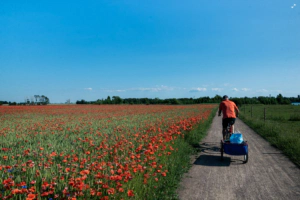 Lista: De bästa profilprodukterna för sommaren￼